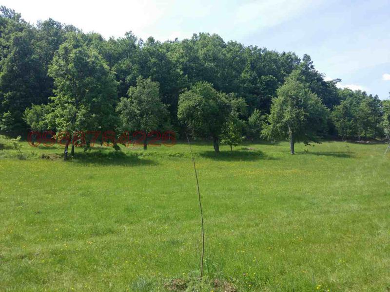 Satılık  Komplo bölge Veliko Tarnovo , Elena , 10000 metrekare | 90143182 - görüntü [9]