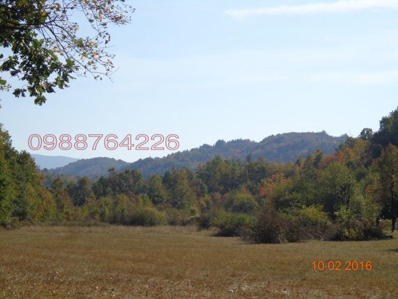 Satılık  Komplo bölge Veliko Tarnovo , Elena , 10000 metrekare | 90143182 - görüntü [14]