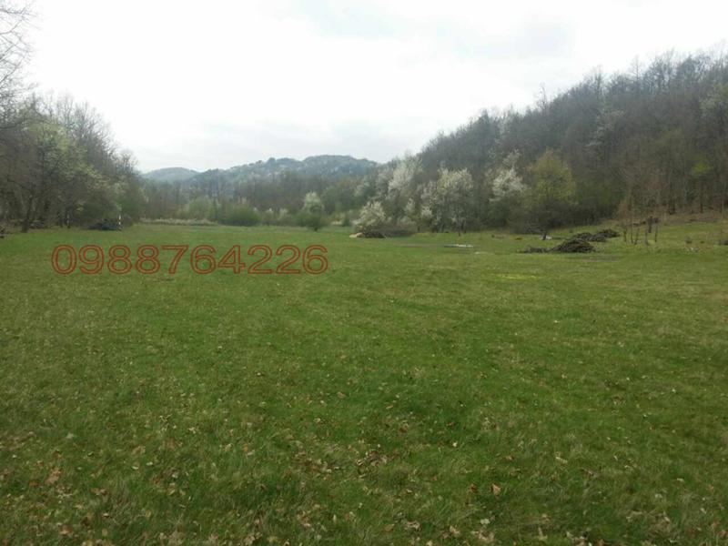 Satılık  Komplo bölge Veliko Tarnovo , Elena , 10000 metrekare | 90143182