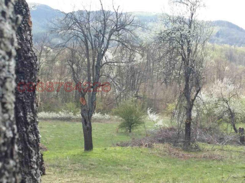 Satılık  Komplo bölge Veliko Tarnovo , Elena , 10000 metrekare | 90143182 - görüntü [10]