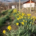Продава ВИЛА, гр. Враца, Студентски град, снимка 5
