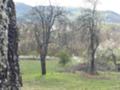 Продава ПАРЦЕЛ, гр. Елена, област Велико Търново, снимка 10