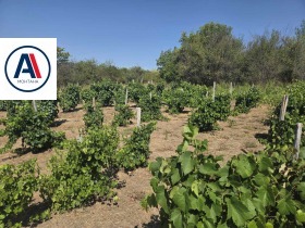 ������� ���� | Imot.bg � ����� ������ 14
