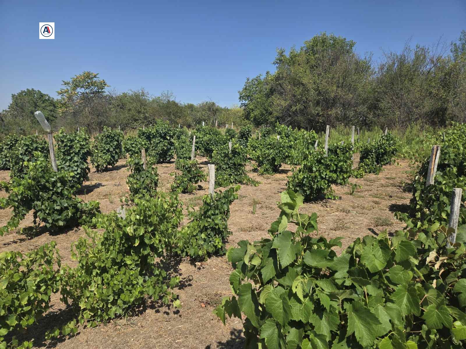 Продава КЪЩА, с. Клисурица, област Монтана, снимка 14 - Къщи - 55652983