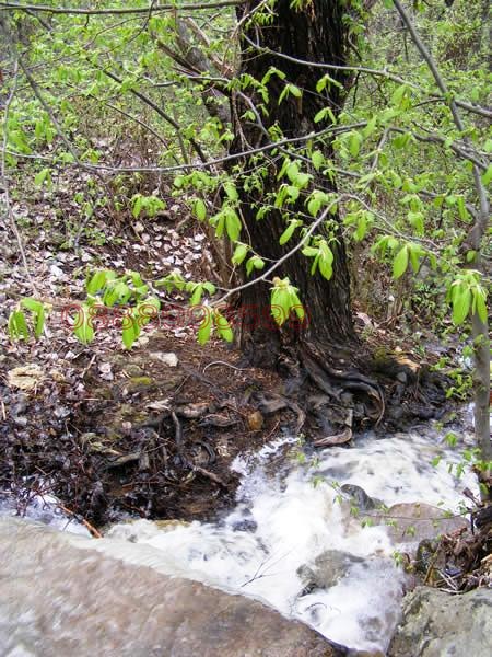 ������� ���� | Imot.bg � ����������� 10