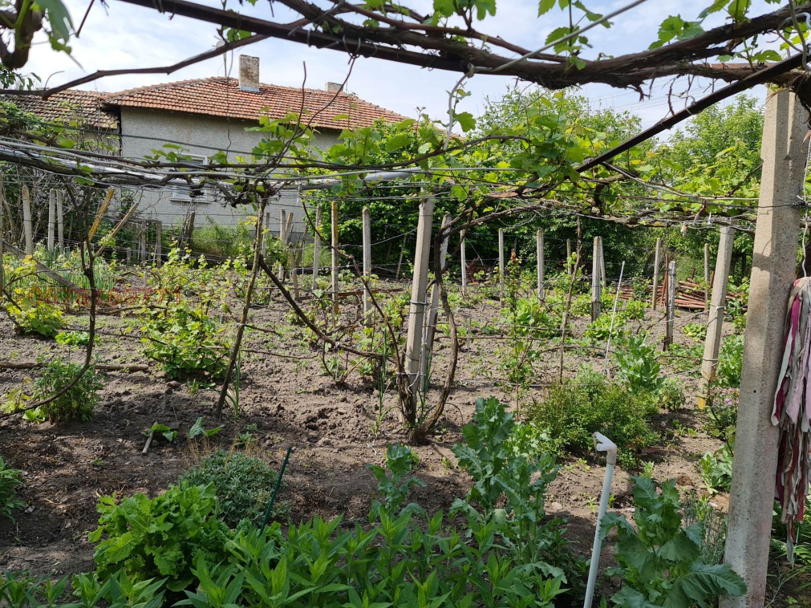 Продава КЪЩА | Imot.bg — изображение 14