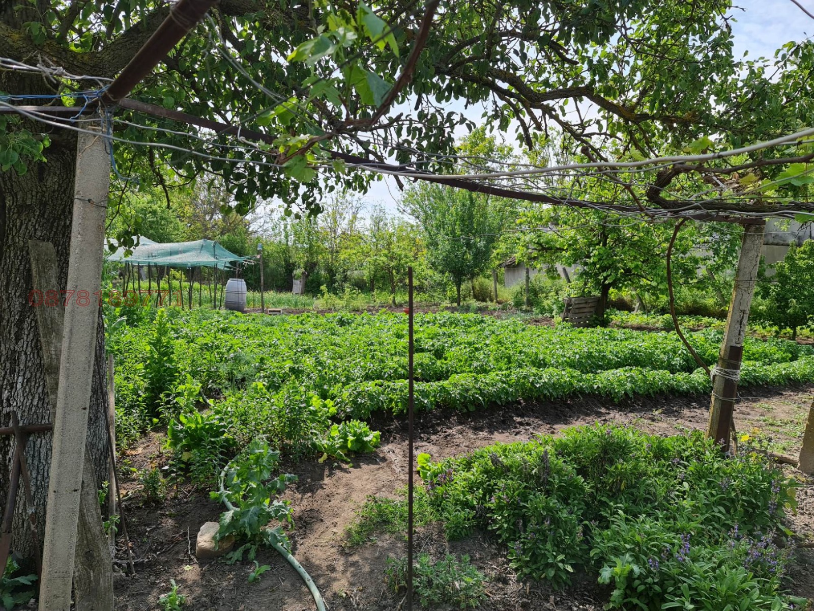 Продава КЪЩА | Imot.bg — изображение 16