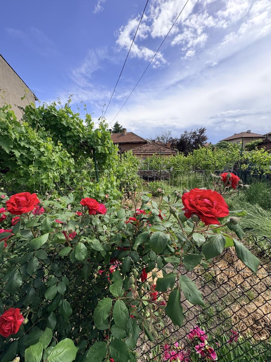 ������� ������ | Imot.bg � ����������� 1