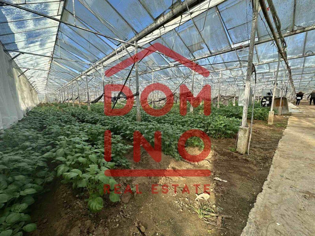 ������� ���������� ���� | Imot.bg � ����������� 7