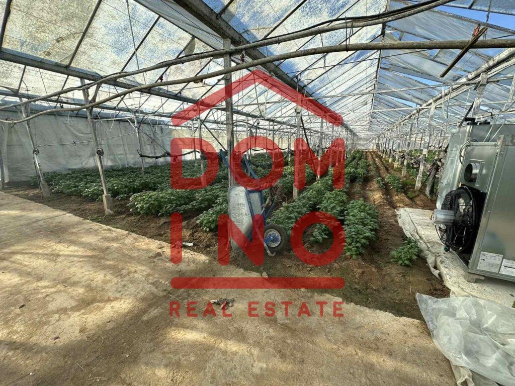 ������� ���������� ���� | Imot.bg � ����������� 5