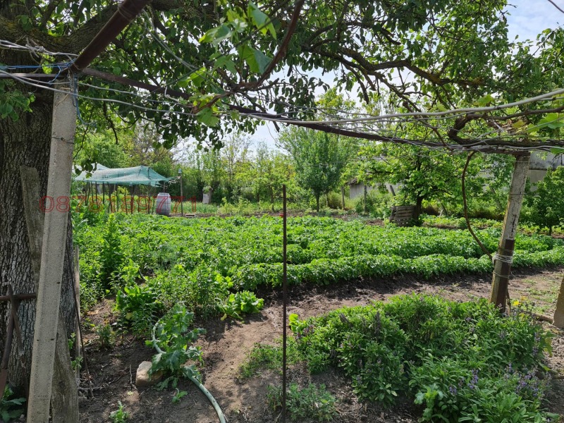 Продава КЪЩА, гр. Търговище, Бряг, снимка 16 - Къщи - 52783236