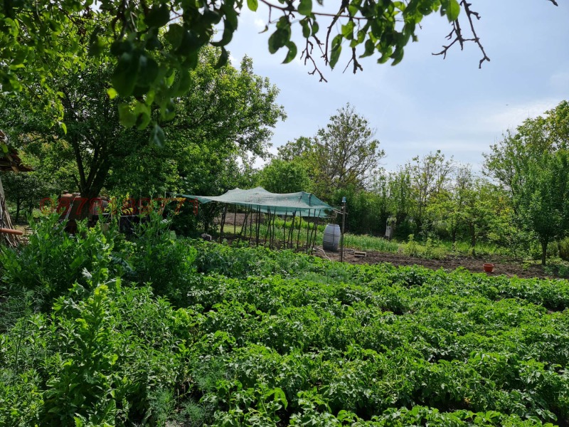 Продава КЪЩА, гр. Търговище, Бряг, снимка 15 - Къщи - 52783236