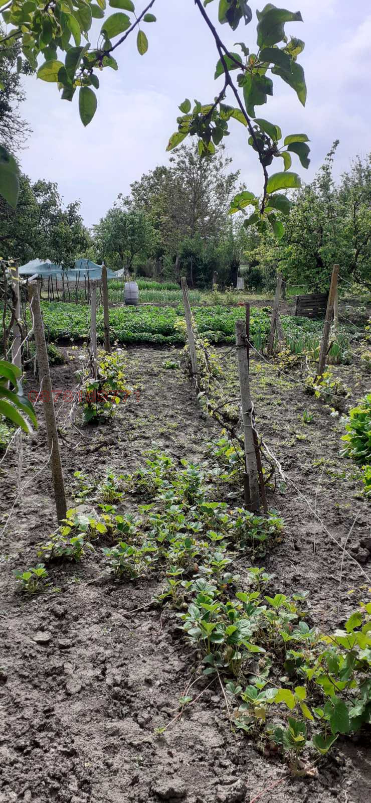 Продава КЪЩА, гр. Търговище, Бряг, снимка 13 - Къщи - 52783236