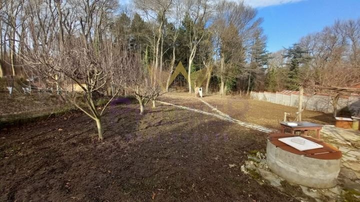 En venta  Trama Varna , m-t Borovets - sever , 1250 metros cuadrados | 24690334 - imagen [4]