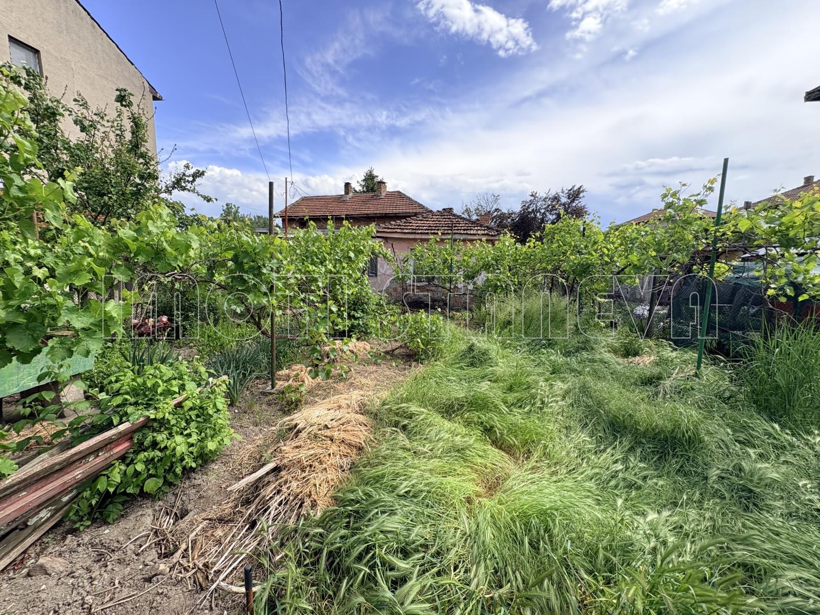 Продава ПАРЦЕЛ, гр. Видин, в.з. Акджамия, снимка 2 - Парцели - 54570909