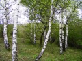 Продава ВИЛА, гр. София, с. Панчарево, снимка 16