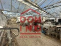 Продава ЗЕМЕДЕЛСКА ЗЕМЯ, с. Говедаре, област Пазарджик, снимка 15