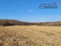 Продава ЗЕМЕДЕЛСКА ЗЕМЯ, с. Крагулево, област Добрич, снимка 2