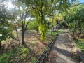 Продава  Къща област Велико Търново , с. Беляковец , 163 кв.м | 24160482 - изображение [17]