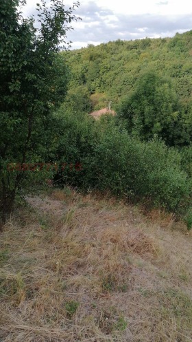 ������� ������ | Imot.bg � ����� ������ 2