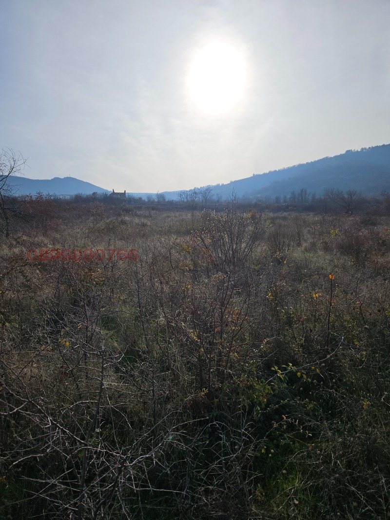 Продава ПАРЦЕЛ, с. Марково, област Пловдив, снимка 5 - Парцели - 52874597