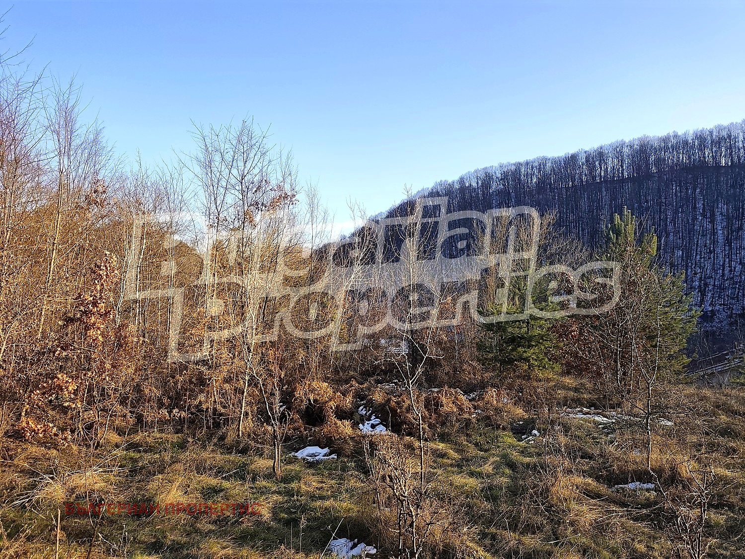 Продава ПАРЦЕЛ, с. Кръвеник, област Габрово, снимка 2 - Парцели - 53465790