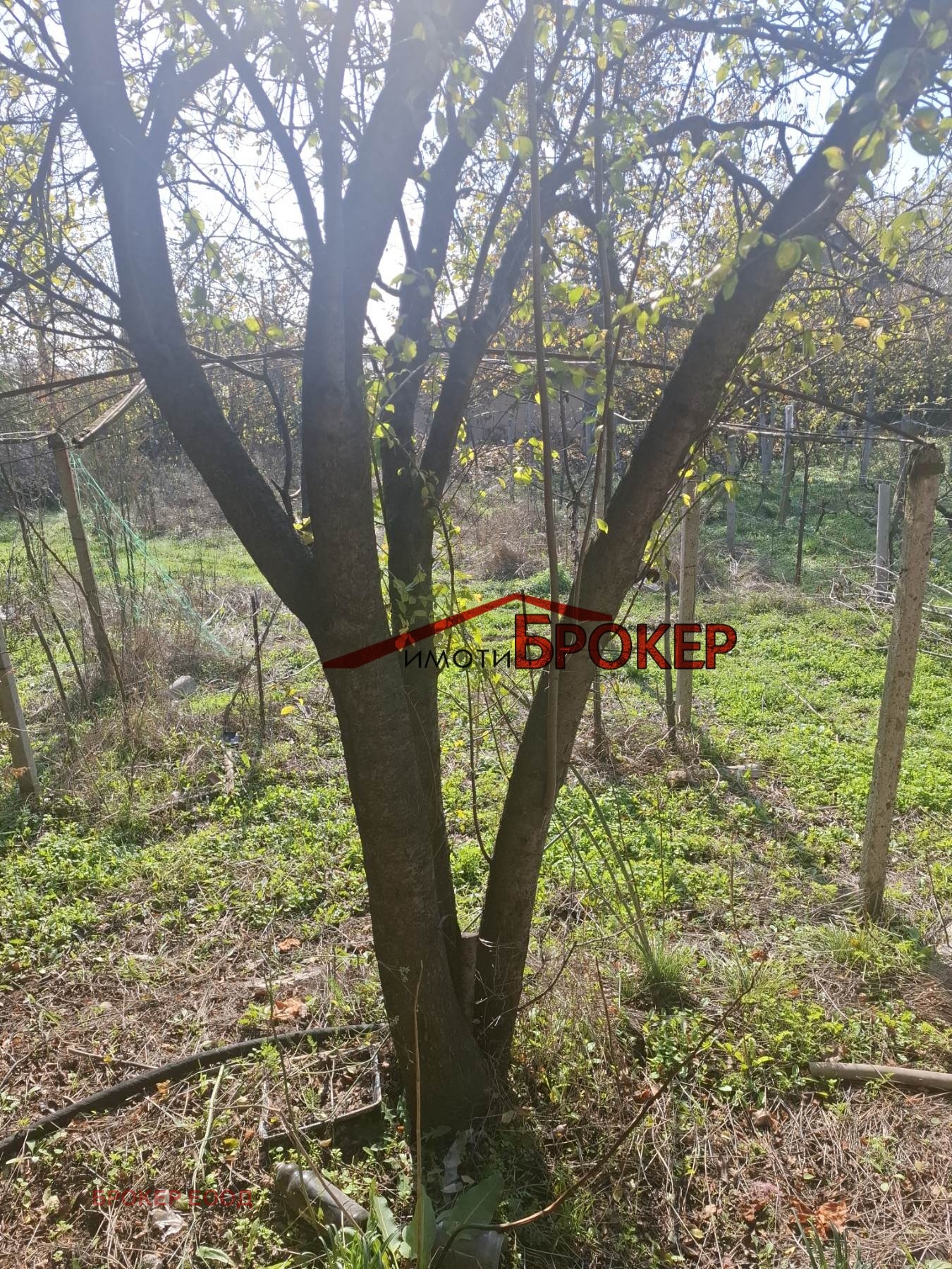 ������� ���� | Imot.bg � ����������� 17