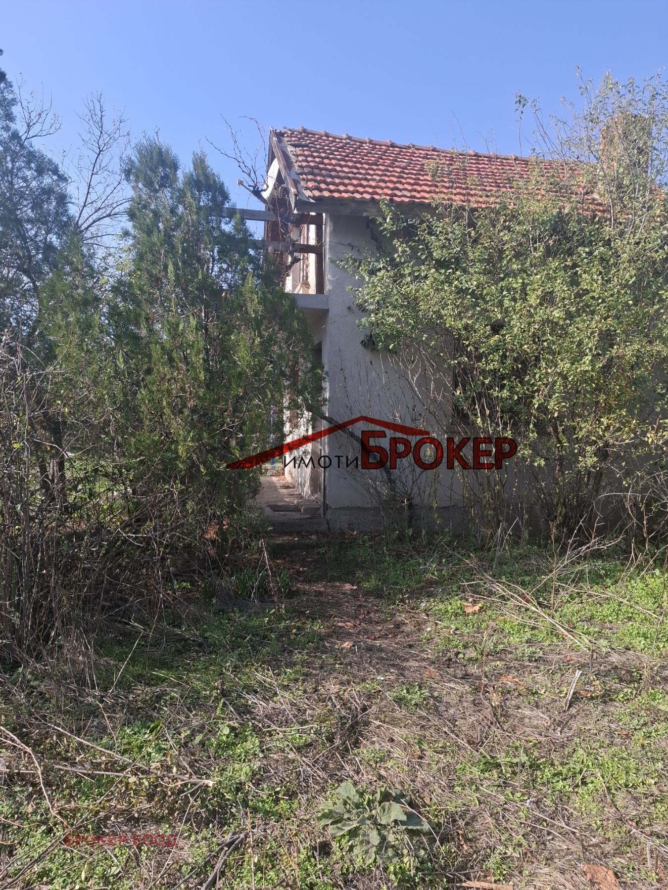 ������� ���� | Imot.bg � ����������� 12