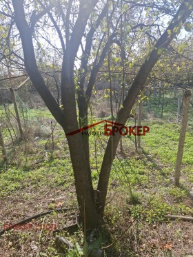 ������� ���� | Imot.bg � ����� ������ 17