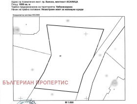 Плот Банско, регион Благоевград 1