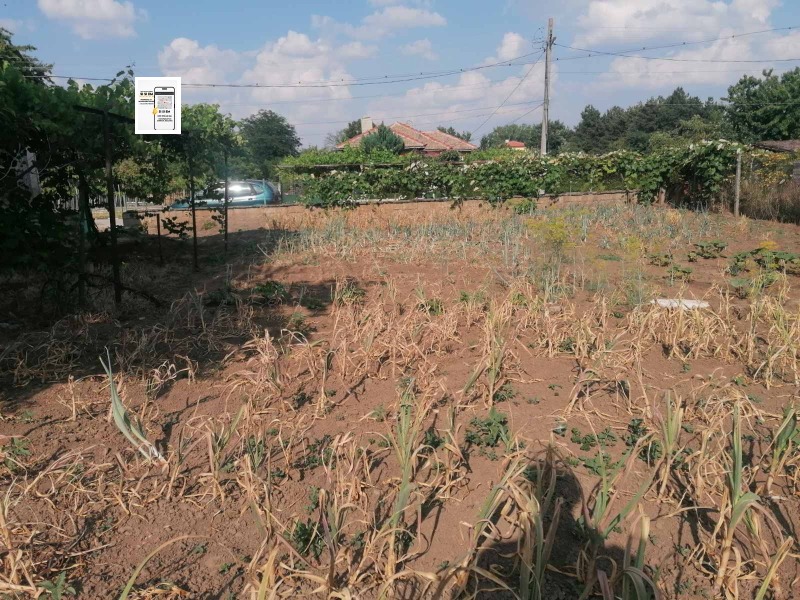 Na prodej  Dům oblast Dobrich , Krušari , 65 m2 | 96911889 - obraz [11]