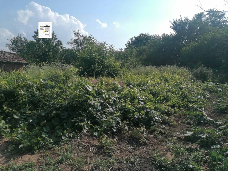 Na prodej  Dům oblast Dobrich , Krušari , 65 m2 | 96911889 - obraz [7]