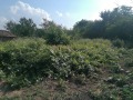 Продава КЪЩА, област Добрич, с. Крушари • 20000 € • 10546960 — Holmes.bg
