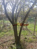 Продава ВИЛА, град Сливен, в.з. Сливен • 33200 € / 64933.56 лв. • 73297481 15