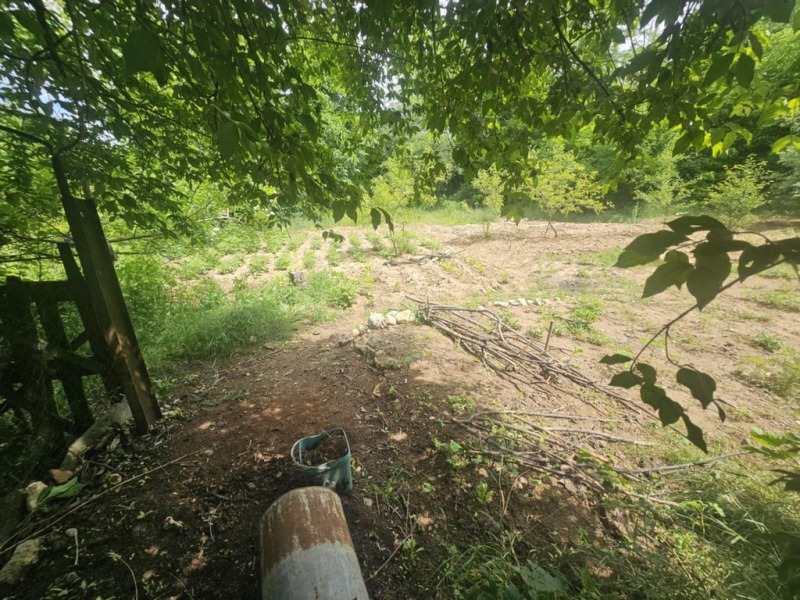 Продава ПАРЦЕЛ в град Кърджали, Прилепци - 622 кв.м / 24 880 € » 48 661.05 лв., ТБС БГПРОПЪРТИС
