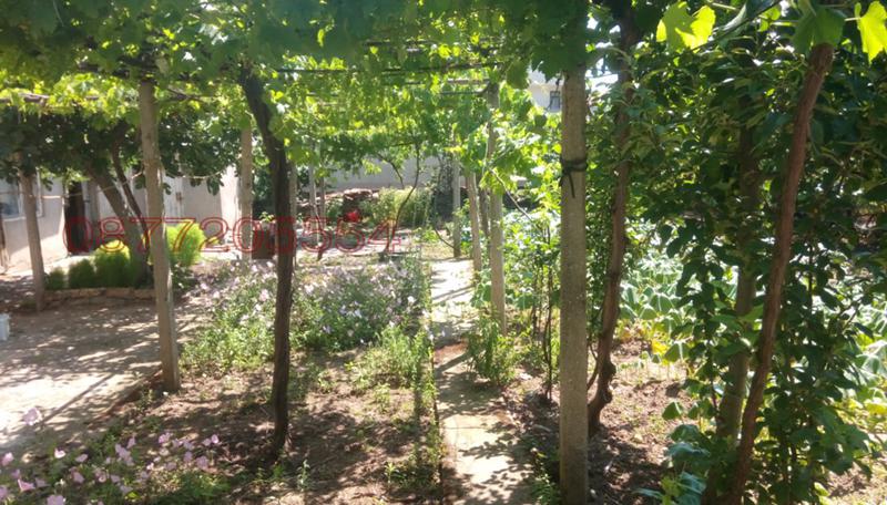 Продава КЪЩА, гр. Тополовград, област Хасково, снимка 7 - Къщи - 52783501