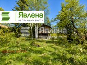 ������ ������� ����