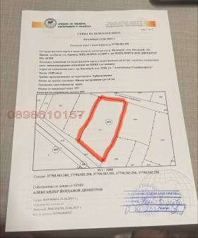 ����� ������� ������,��. ��������, ������ �����