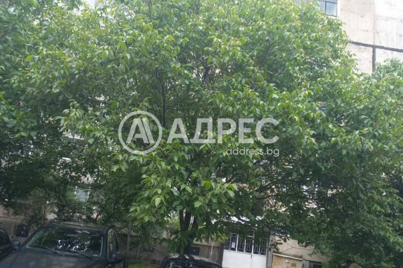 Продаја  2 спаваће собе Софија , Лјулин 7 , 74 м2 | 55066659 - слика [2]