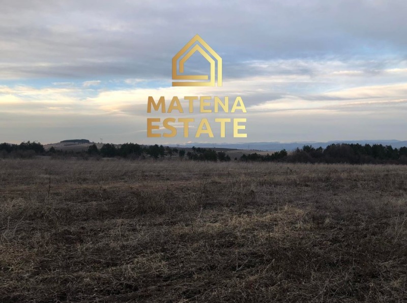 Продава ЗЕМЕДЕЛСКА ЗЕМЯ, с. Гурмазово, област София област, снимка 2 - Земеделска земя - 52689832