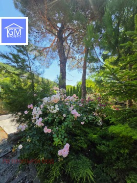 ������� ���� | Imot.bg � ����� ������ 16