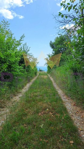 ������� ������ | Imot.bg � ����� ������ 10