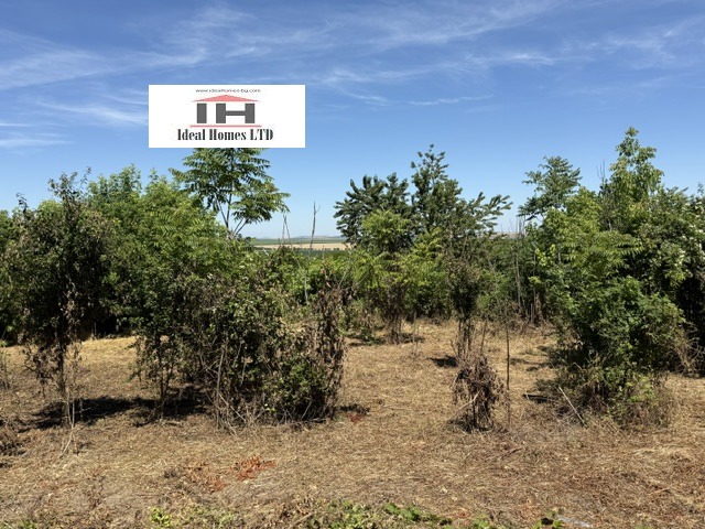 Продава КЪЩА, гр. Павликени, област Велико Търново, снимка 17 - Къщи - 55038497