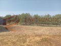 Продава ПАРЦЕЛ, област Варна, с. Белоградец • 39900 лв. • 88276471 — Holmes.bg