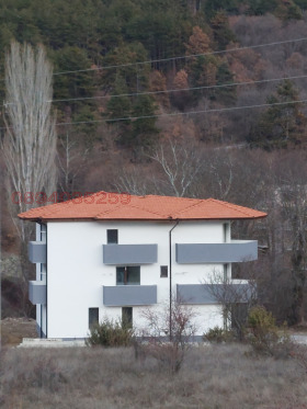 ������ ������� ����