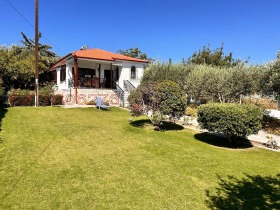 ����� ������� ����,���������, ������