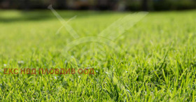 ����� ������� ������,��. ��������, ������ �������