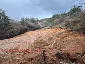 ����� ������� ������,�. ��������, ������ �������