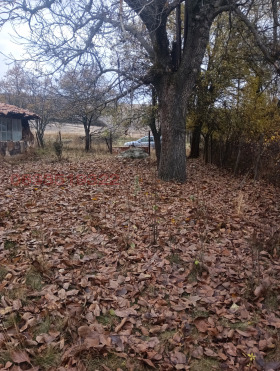 ������� ������ | Imot.bg � ����� ������ 2