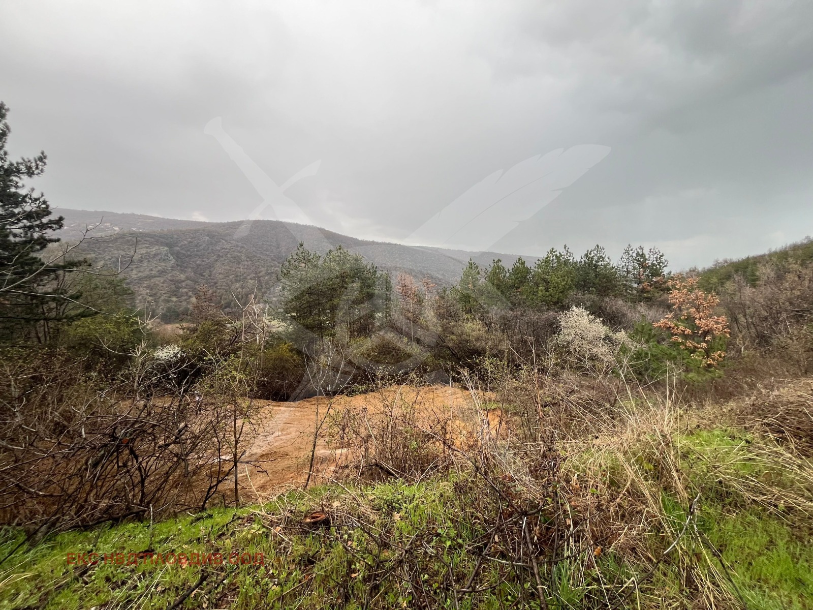 Продава ПАРЦЕЛ, с. Храбрино, област Пловдив, снимка 4 - Парцели - 54145205